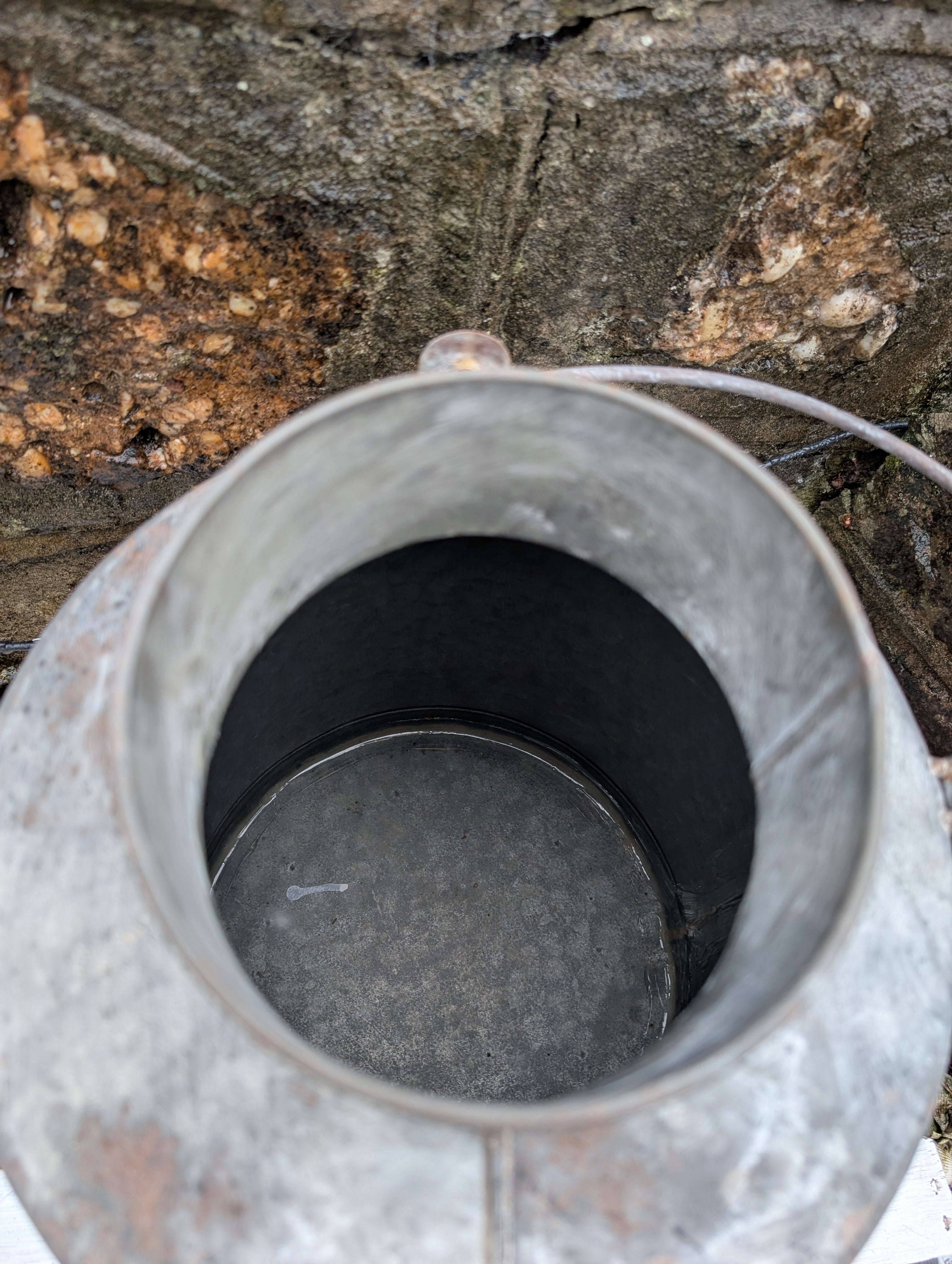 Large Oil Can Metal Grey
