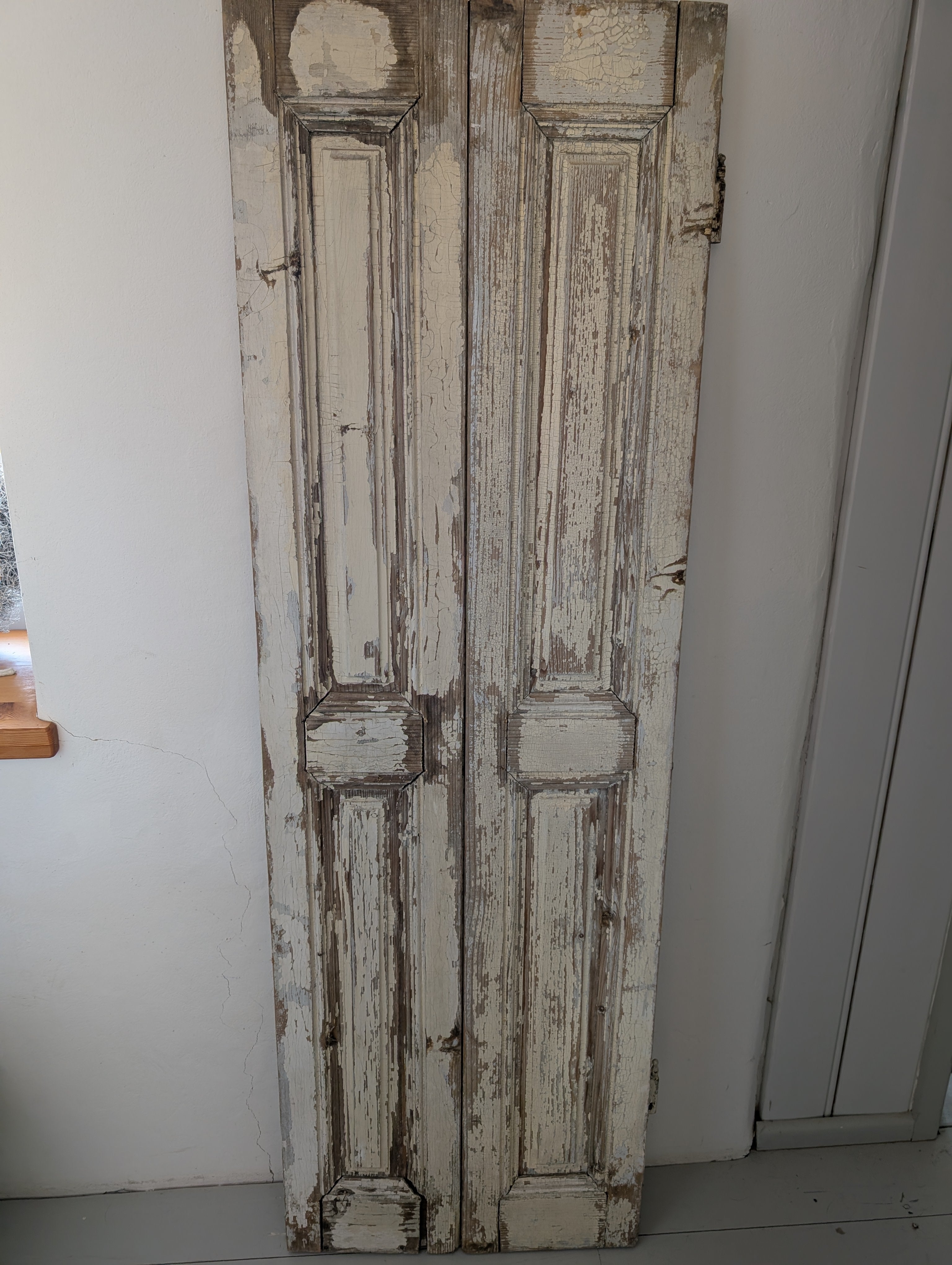 Antique French Doors
