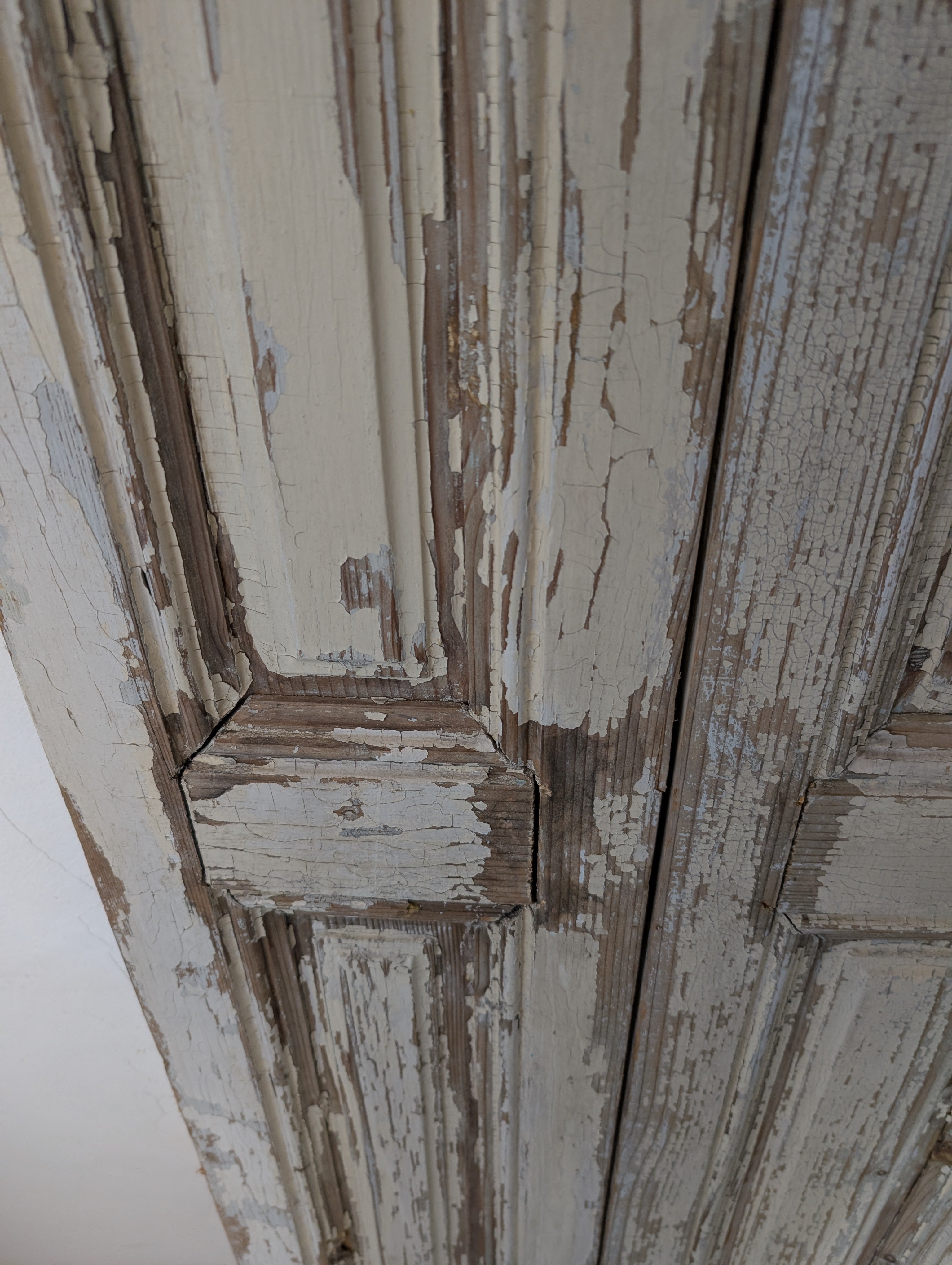Antique French Doors