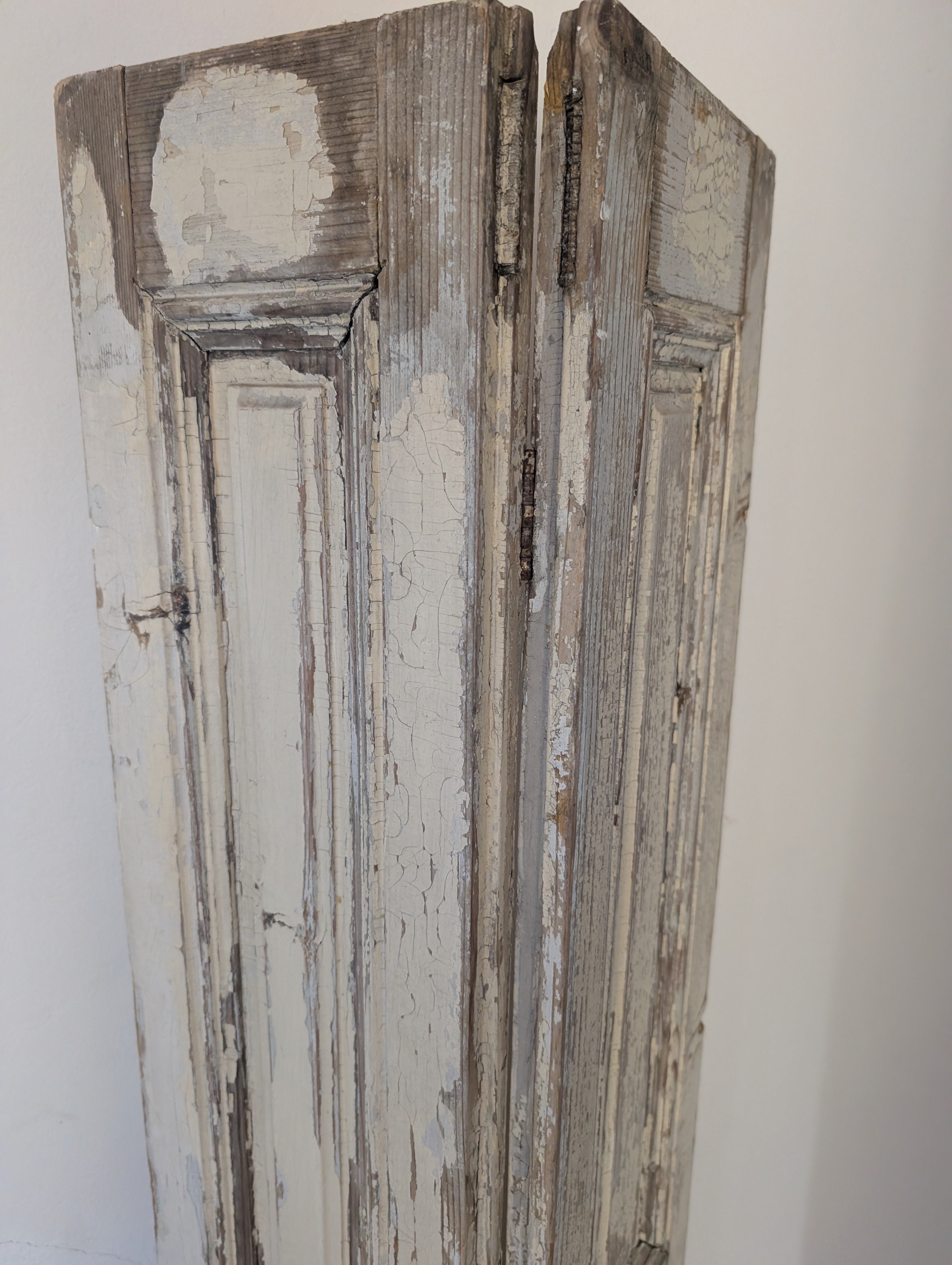 Antique French Doors