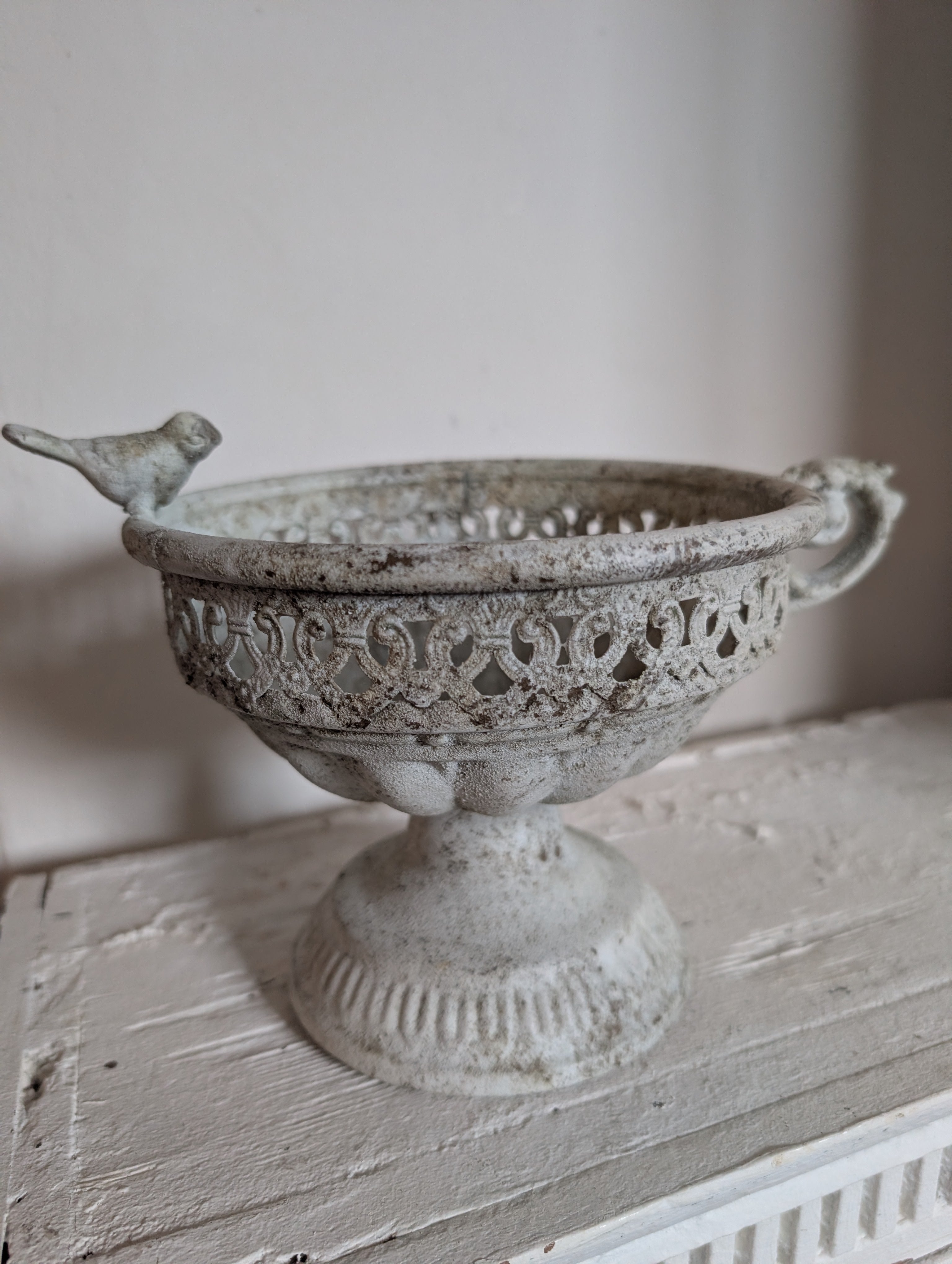 Tabletop Bird Feeder