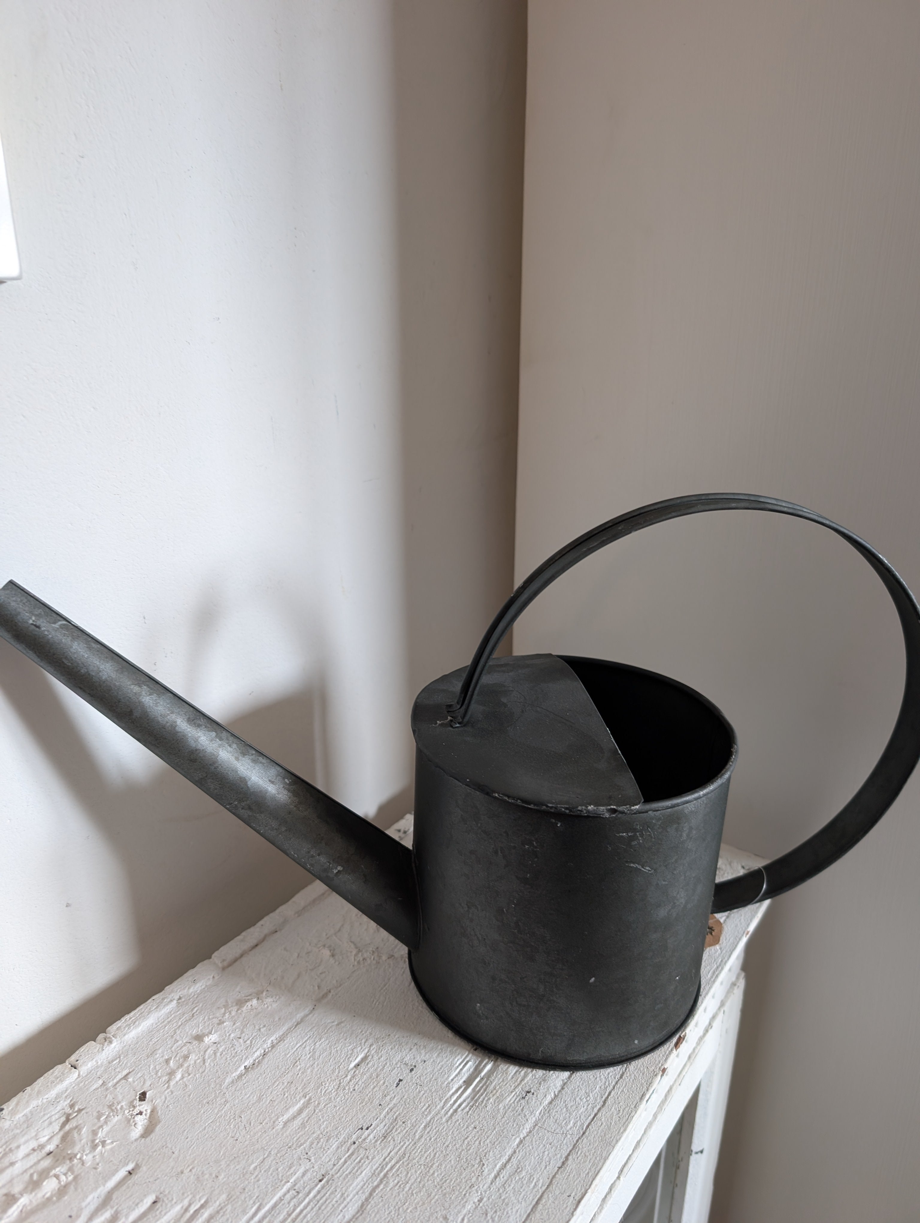 Decorative Watering Can