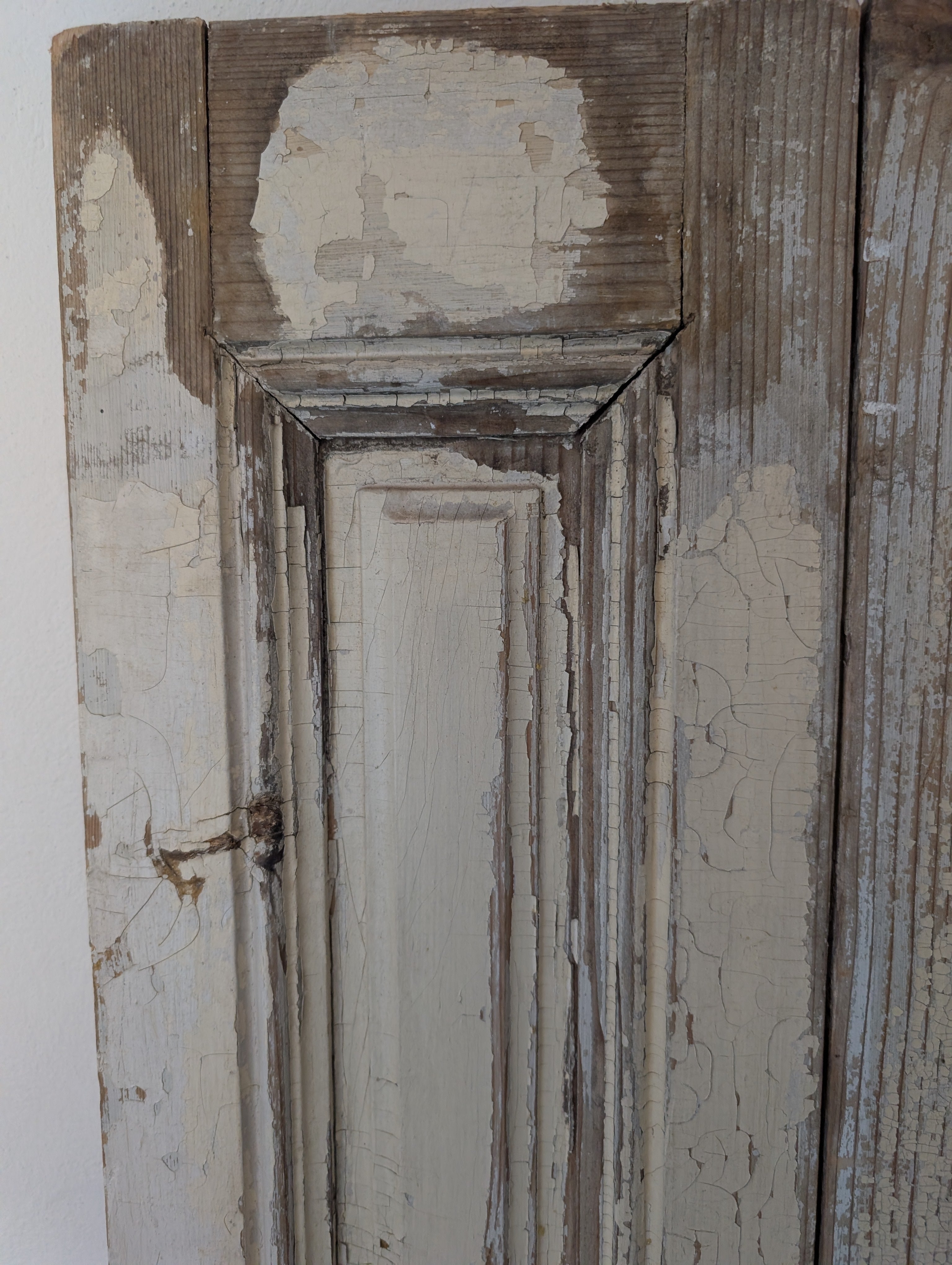 Antique French Doors